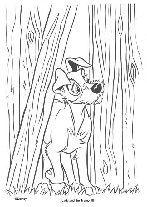 coloriage le clochard passe la palissade